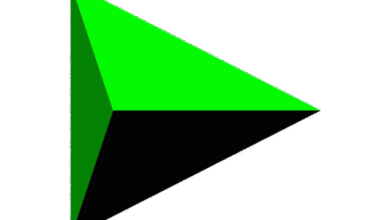 Download Internet Download Manager for Windows